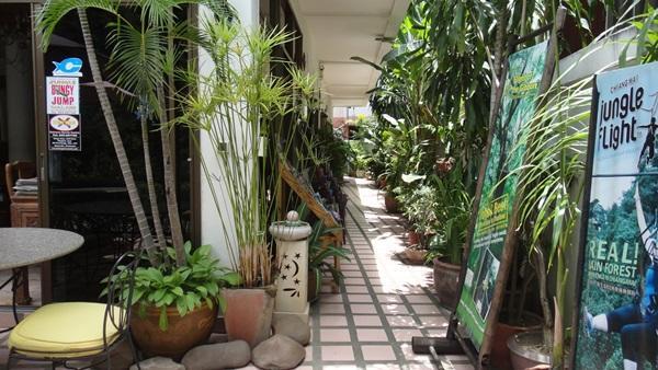 The Red Hibicus Guest House Чиангмай Екстериор снимка